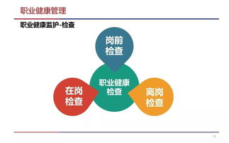 職業(yè)健康危害管理與健康管理咨詢實(shí)踐指南